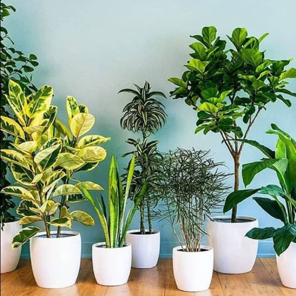 Meet your Posher, M.g